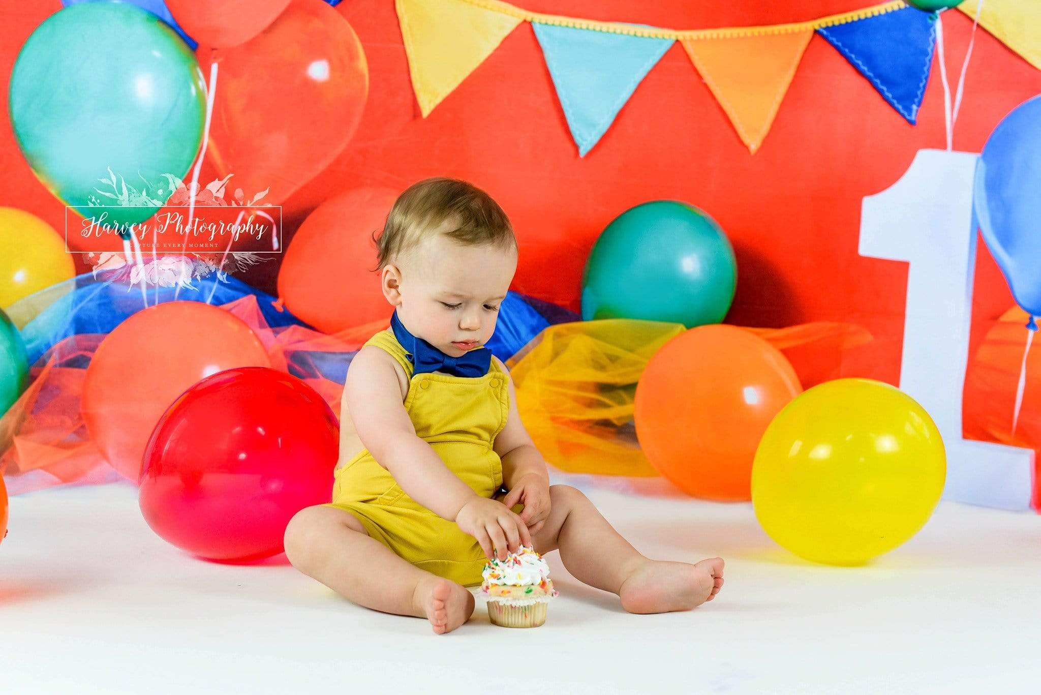 Kate Primary 1st Birthday Backdrop for Photography Designed by Keerstan Jessop - Kate Backdrop AU