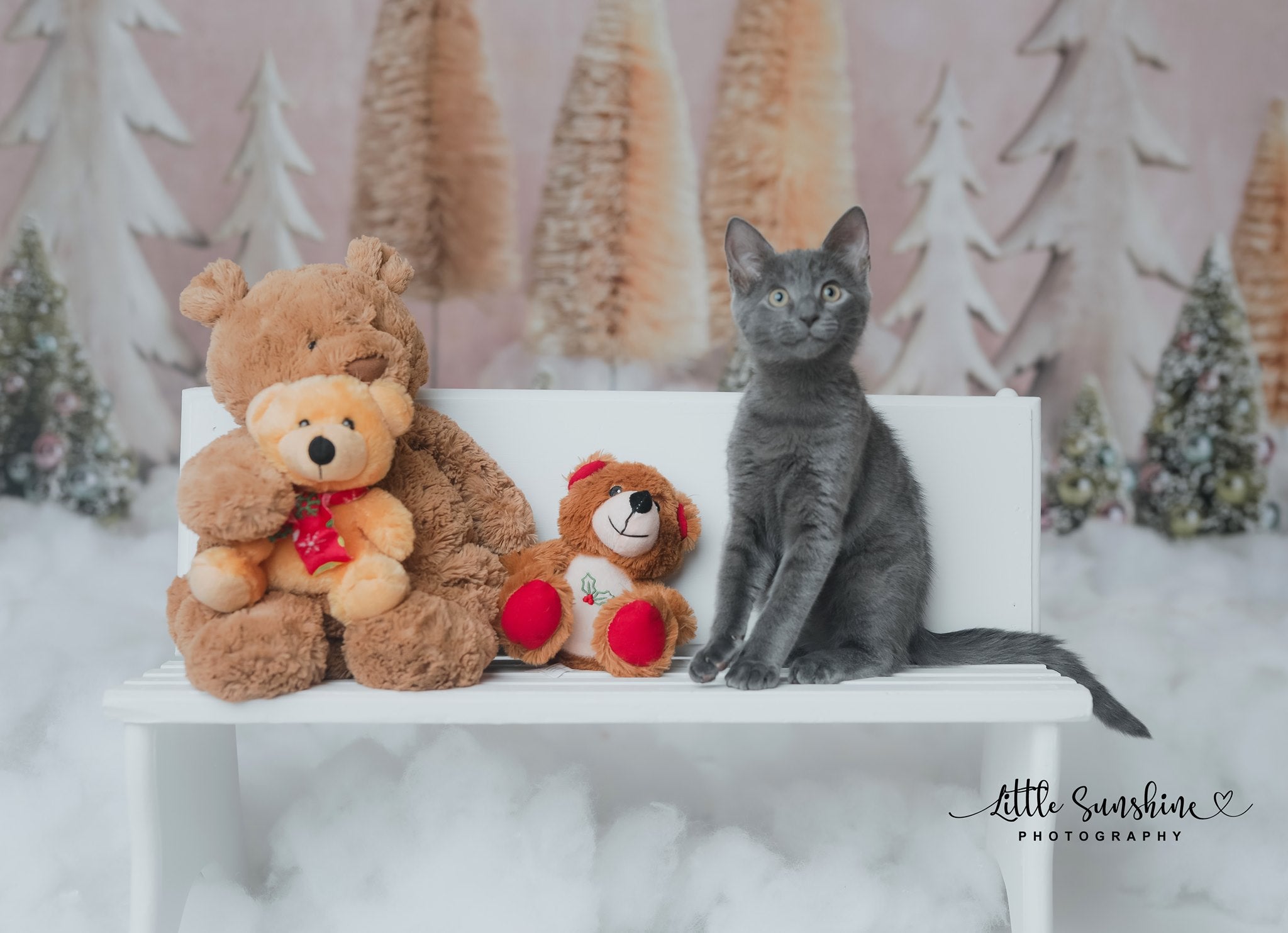 Kate Elegant Christmas Trees Backdrop for Photography Designed By Mandy Ringe Photography - Kate Backdrop AU