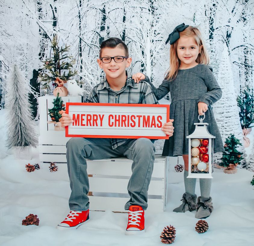 Kate Christmas Snowy Pine Trees with Decorations Backdrop - Kate Backdrop AU