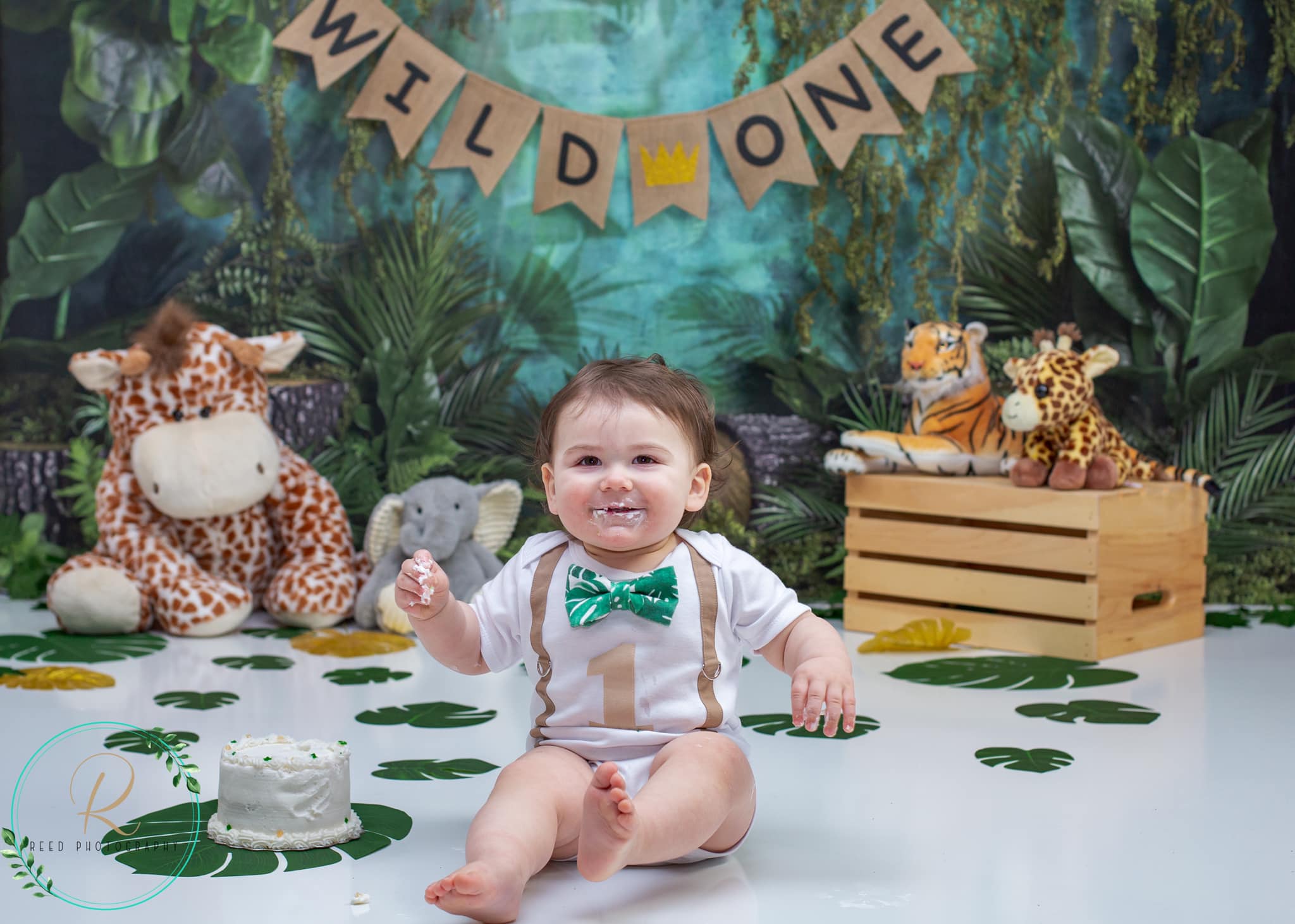 Kate Jungle Backdrop Designed by Mandy Ringe Photography - Kate Backdrop AU