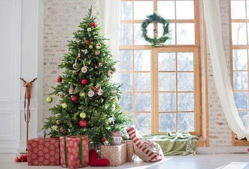 Kate Christmas Gifts Room Decoration Window View Backdrop - Kate Backdrop AU