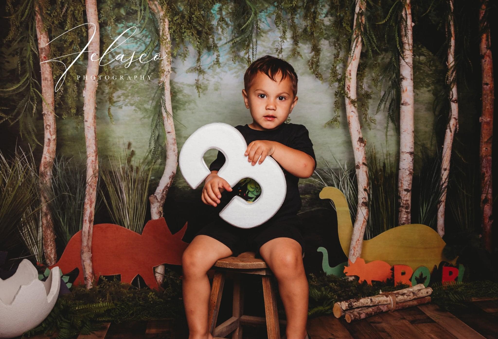 Kate Rainforest Trunk Wonderland with Dinosaur Backdrop - Kate Backdrop AU