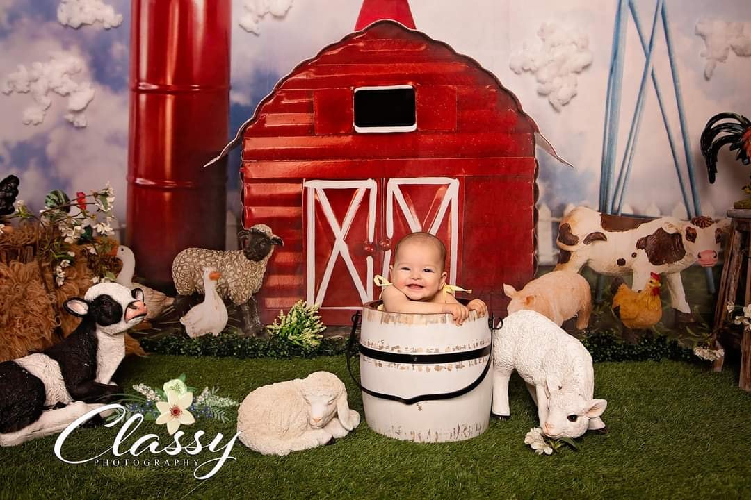 Kate Spring Barnyard Farm Backdrop Designed by Megan Leigh Photography - Kate Backdrop AU