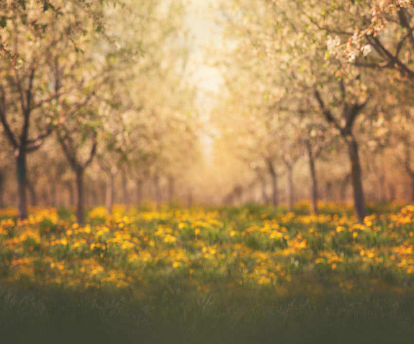 Kate Summer Orchard in Yellow Backdrop for Photography Designed by Lisa Granden - Kate Backdrop AU