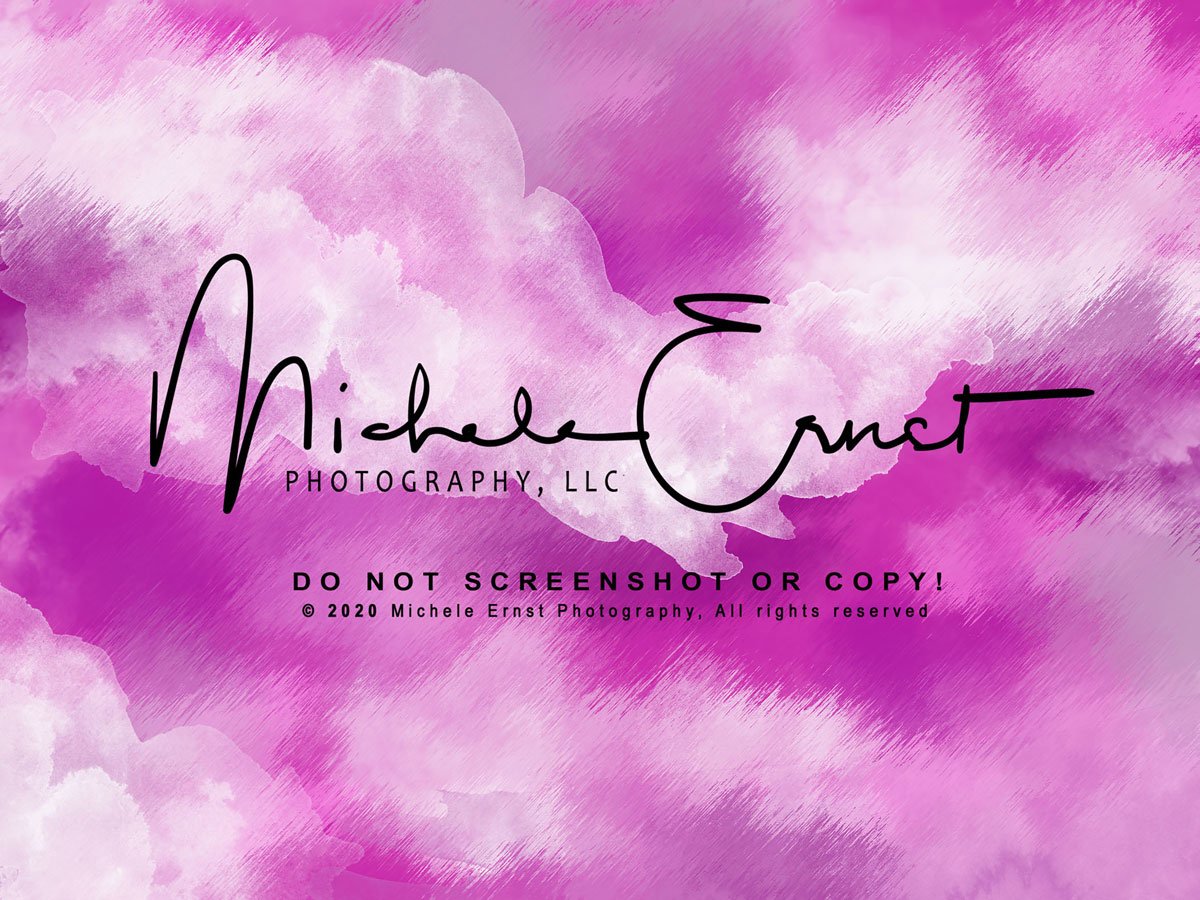 Kate Pink Abstract Backdrop Designed By Michele Ernst Photography - Kate Backdrop AU