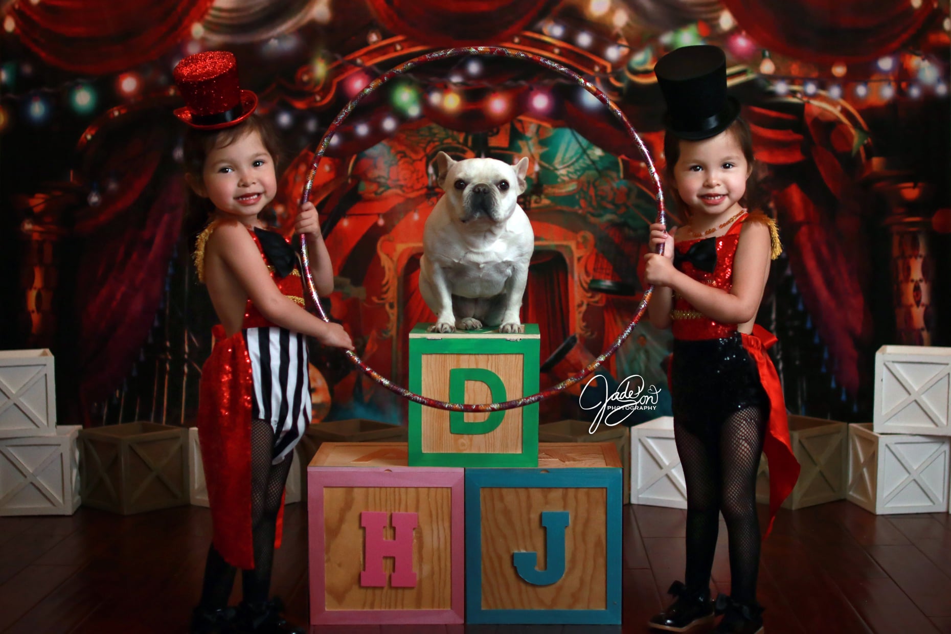 Kate Circus Backdrop Designed by Rosabell Photography - Kate Backdrop AU