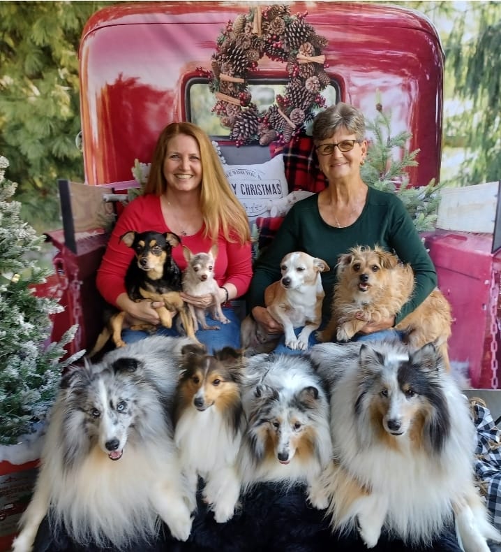 Kate Red Christmas Truck Backdrop Designed by Mandy Ringe Photography - Kate Backdrop AU