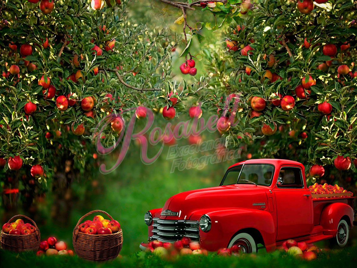 Kate Summer Apple Orchard Red Truck Backdrop Designed by Rosabell Photography