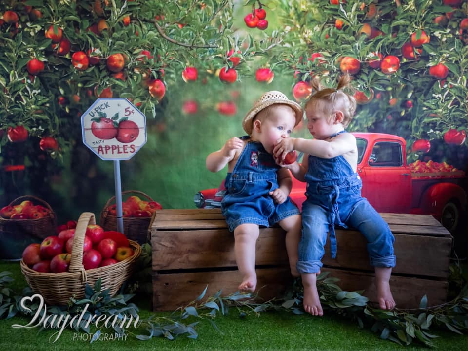Kate Summer Apple Orchard Red Truck Backdrop Designed by Rosabell Photography - Kate Backdrop AU