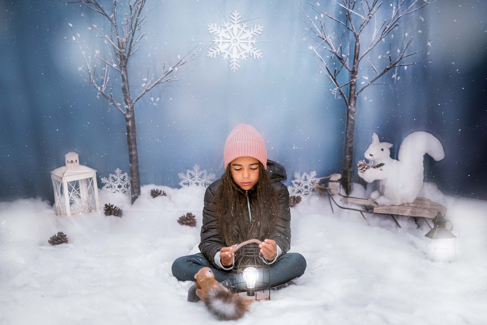 Kate Christmas Winter Blues Backdrop Designed by Melissa King - Kate Backdrop AU