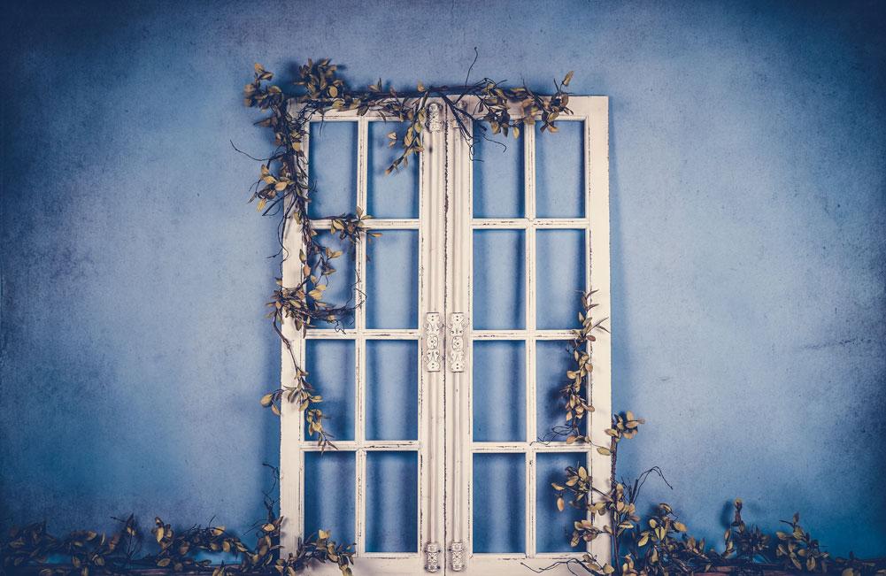 Kate Spring/mother's Day White Doors Blue Backdrop Designed by Arica Kirby - Kate Backdrop AU