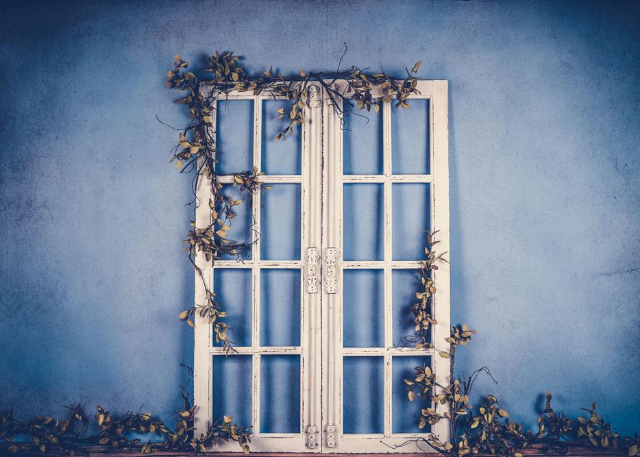 Kate Spring/mother's Day White Doors Blue Backdrop Designed by Arica Kirby - Kate Backdrop AU