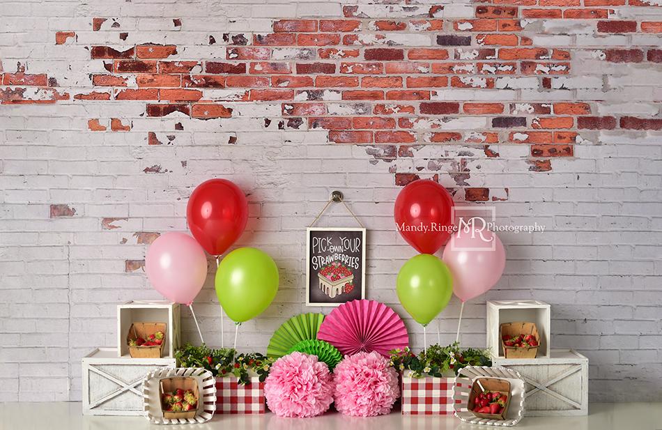 Kate Summer Strawberry Birthday Backdrop Designed by Mandy Ringe Photography - Kate Backdrop AU