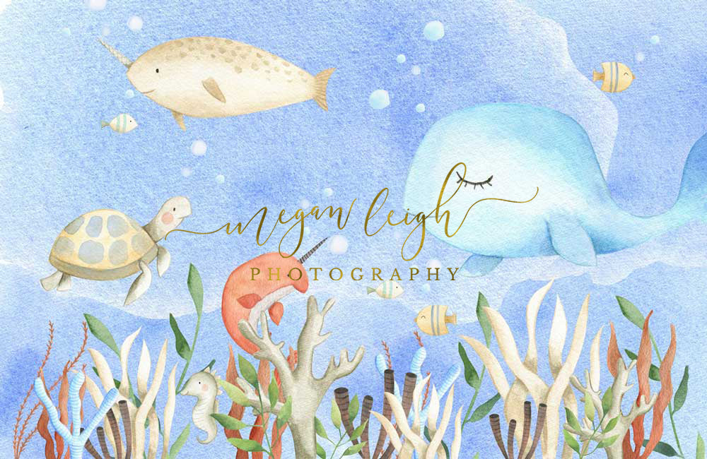 Kate Cake Smash Undersea World Backdrop Designed by Megan Leigh Photography - Kate Backdrop AU