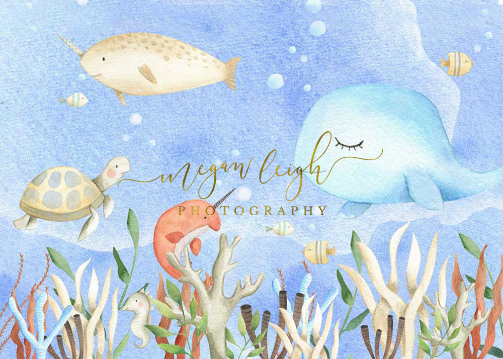 Kate Cake Smash Undersea World Backdrop Designed by Megan Leigh Photography - Kate Backdrop AU