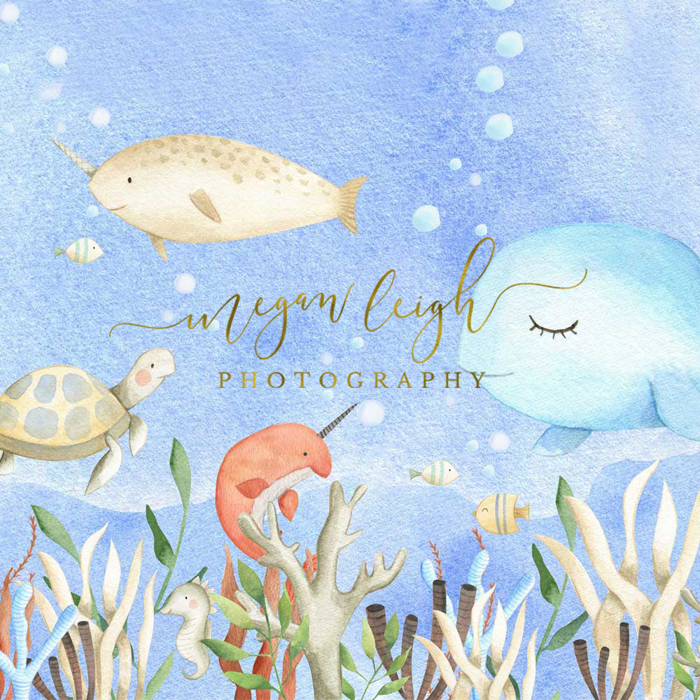 Kate Cake Smash Undersea World Backdrop Designed by Megan Leigh Photography - Kate Backdrop AU