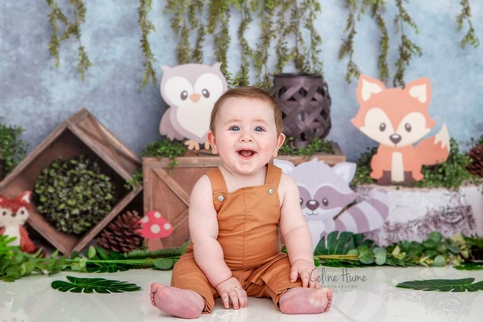 Kate Blue Woodland Animals Cake Smash Backdrop Designed by Melissa King - Kate Backdrop AU