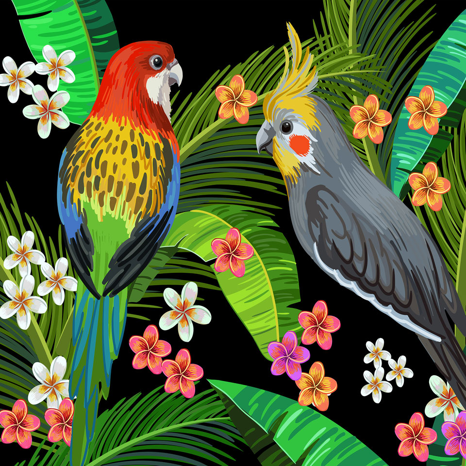 Kate Australian Parrots Wildlife Palm Leaves Backdrop for Photography - Kate Backdrop AU