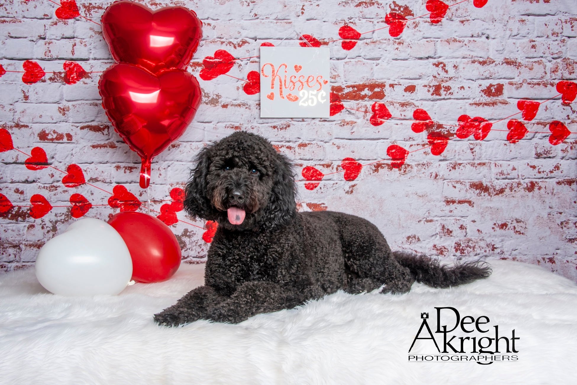 Kate white brick wall with red hearts Valentine's Day Backdrop for Photography designed by Jerry_Sina - Kate Backdrop AU