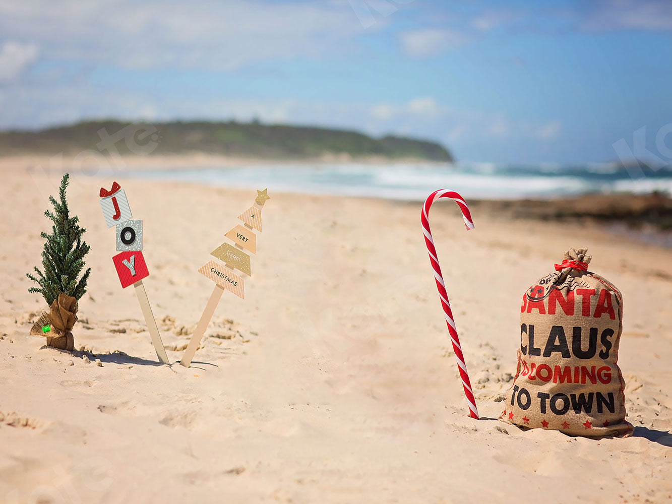 Kate Christmas Beach Backdrops - Kate Backdrop AU