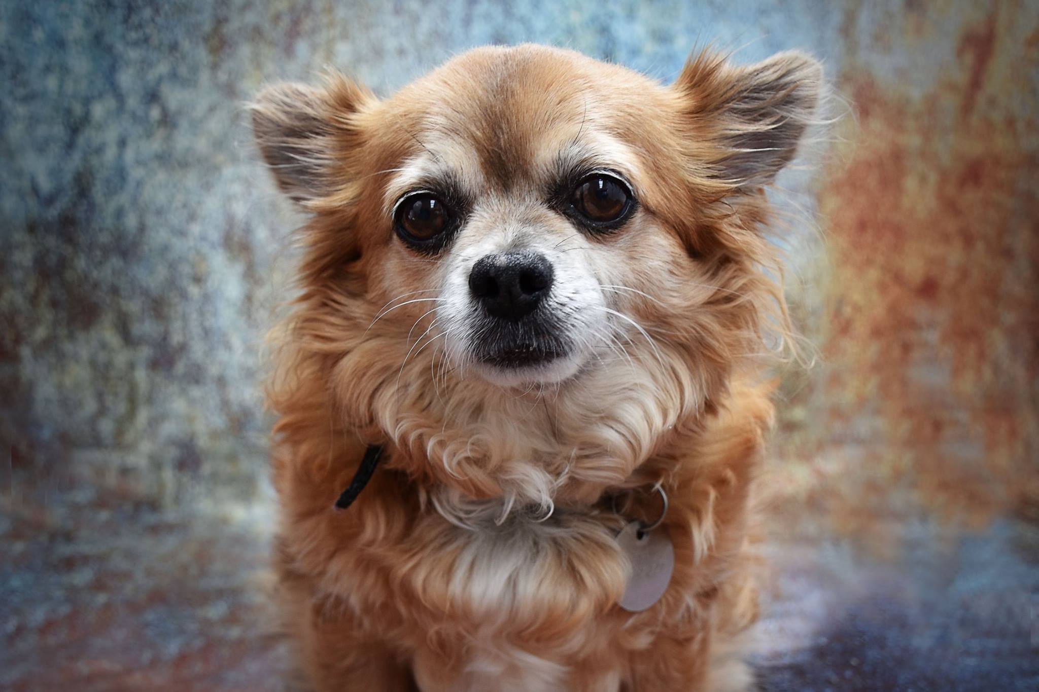 Kate Abstract Vintage Rust color Textured Wall Rusty Backdrop - Kate Backdrop AU