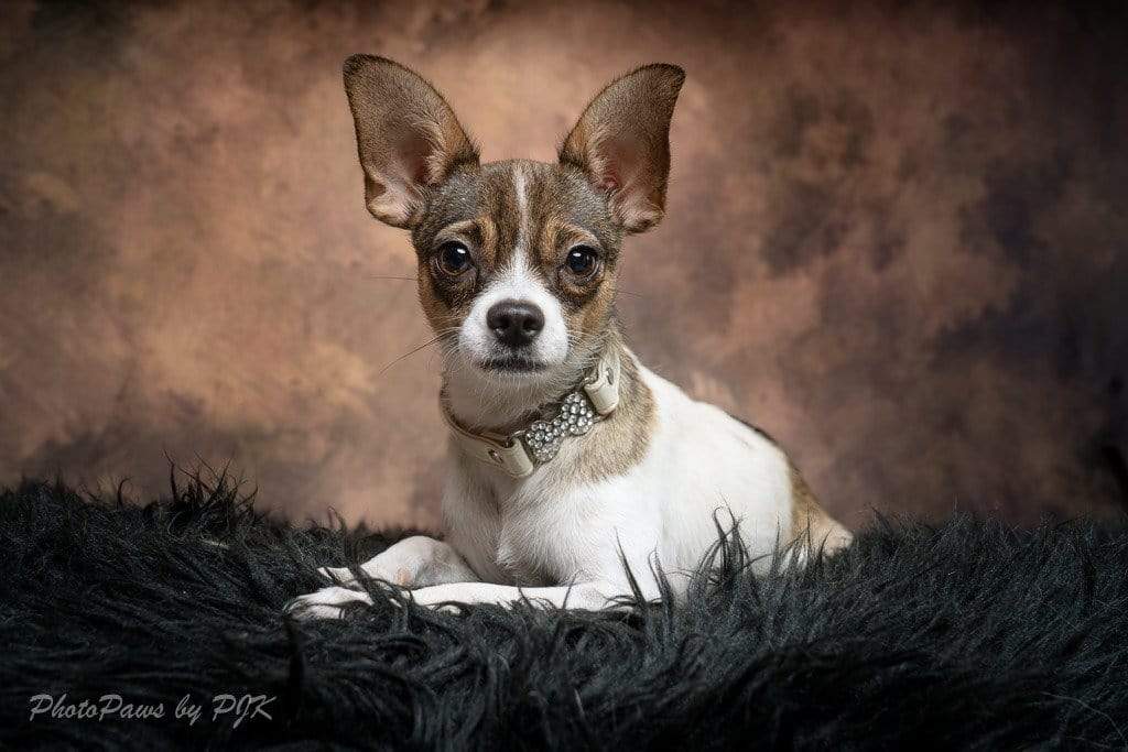 Kate Like Oil Painting Background Abstract Texture Backdrops For Photography - Kate Backdrop AU