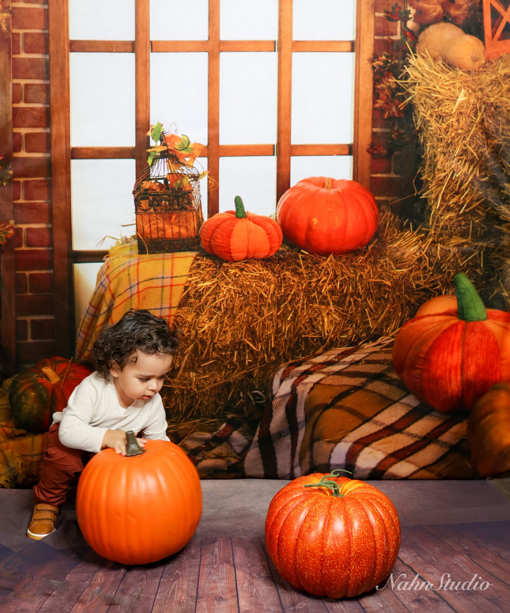 Kate Autumn Window Thanksgiving Pumpkins Backdrop for Photography - Kate Backdrop AU