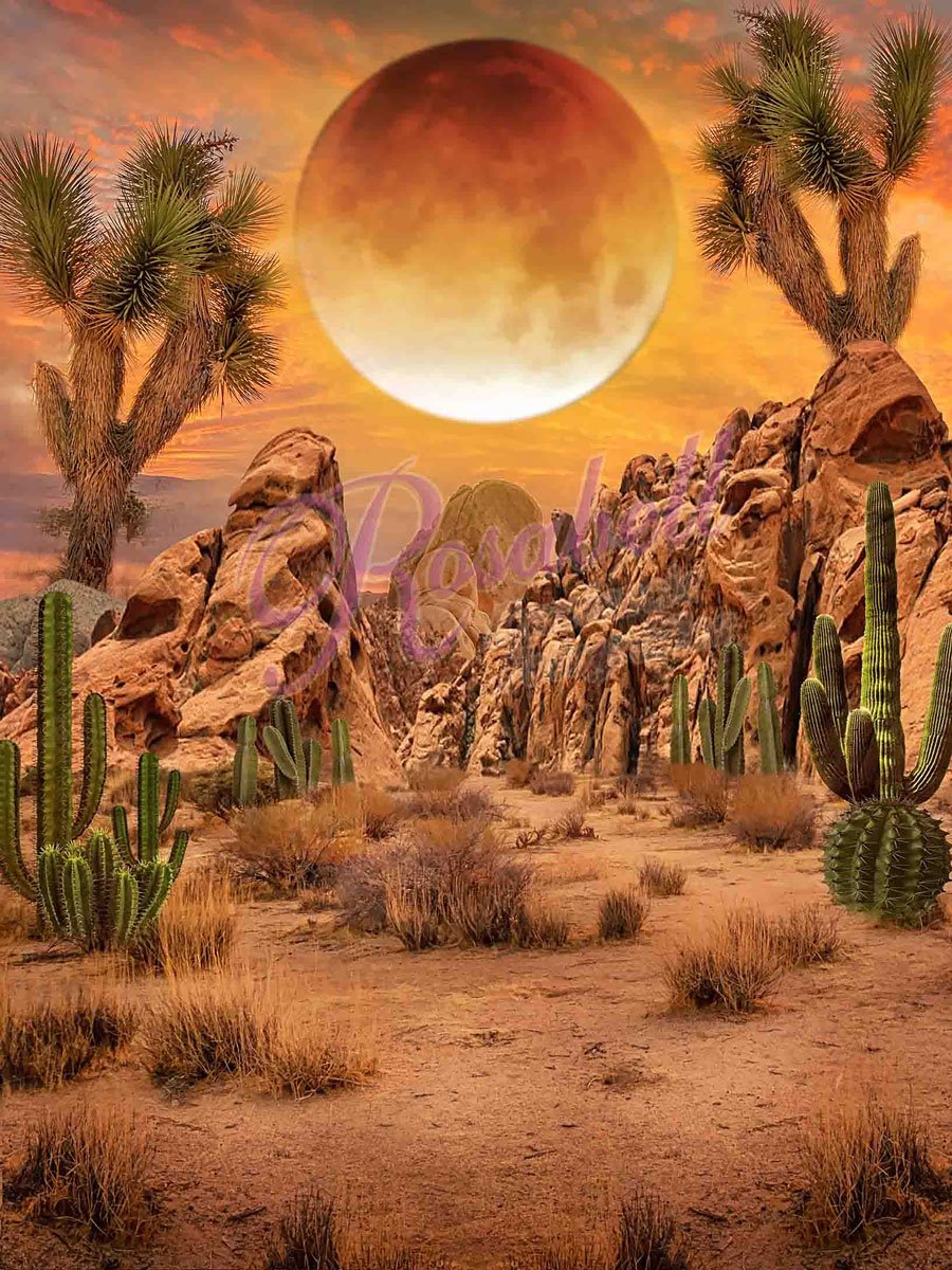 Kate Desierto Backdrop Designed by Rosabell Photography - Kate Backdrop AU