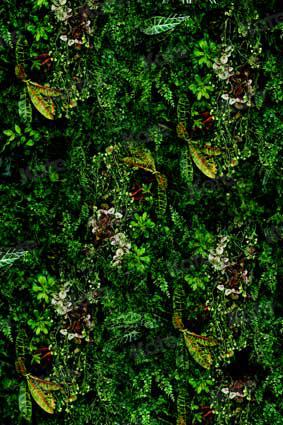 kate Spring Tropical Rain Forest Plants Wall Backdrop for Photography - Kate Backdrop AU