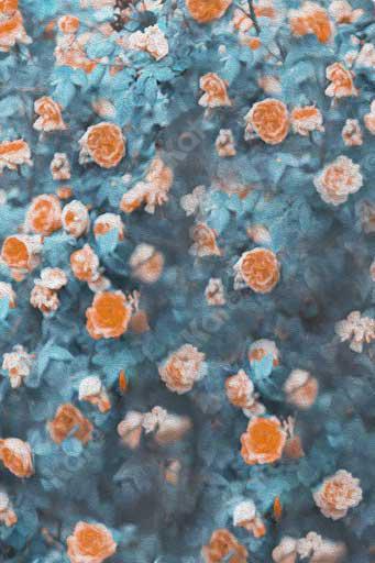 kate Fine Art Blurry Textured Florals Backdrop for Photography - Kate Backdrop AU