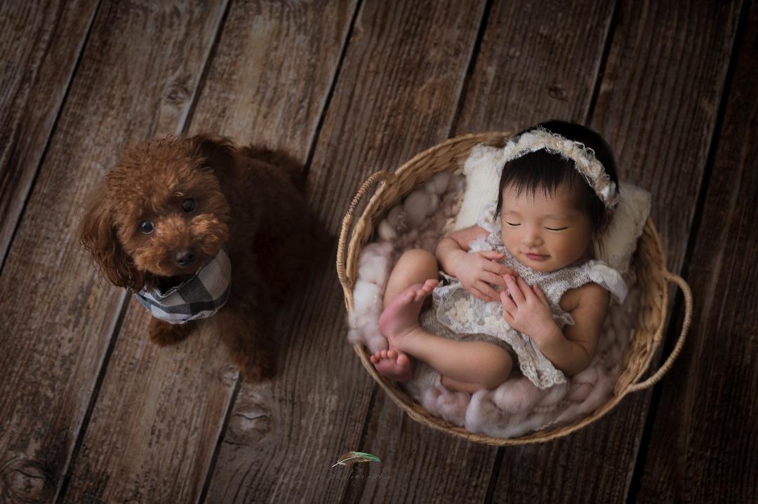 Kate Brown Vintage Wood Computer Printed Rubber Floor Mat - katebackdrop AU