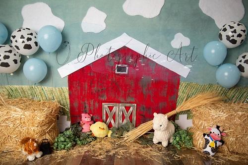 Kate Boy Barn Backdrop for Photography Designed by Jenna Onyia - Kate Backdrop AU