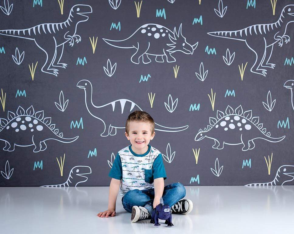 Kate Dinosaur Park Children Backdrop for Photography Designed by Amanda Moffatt - Kate Backdrop AU