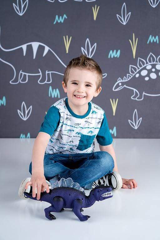 Kate Dinosaur Park Children Backdrop for Photography Designed by Amanda Moffatt - Kate Backdrop AU