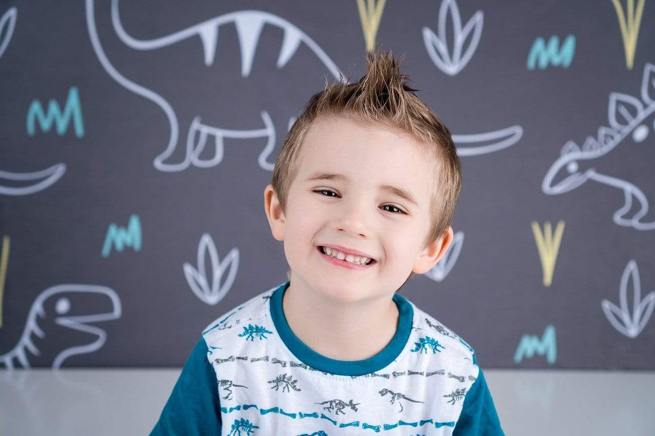 Kate Dinosaur Park Children Backdrop for Photography Designed by Amanda Moffatt - Kate Backdrop AU