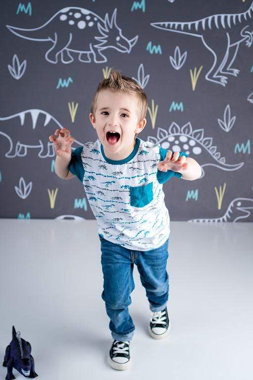 Kate Dinosaur Park Children Backdrop for Photography Designed by Amanda Moffatt - Kate Backdrop AU