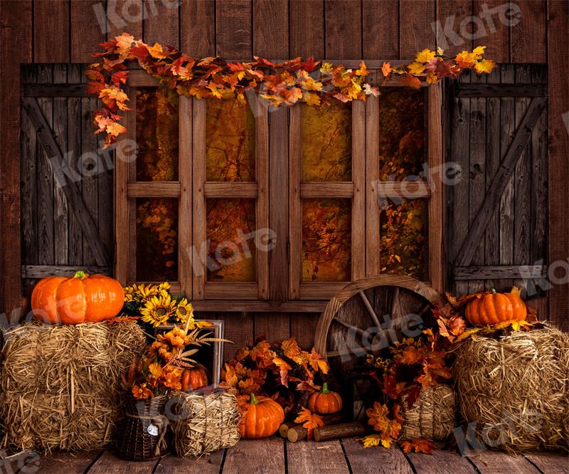 Kate Autumn Backdrop Barn Farm Pumpkins for Photography - Kate Backdrop AU