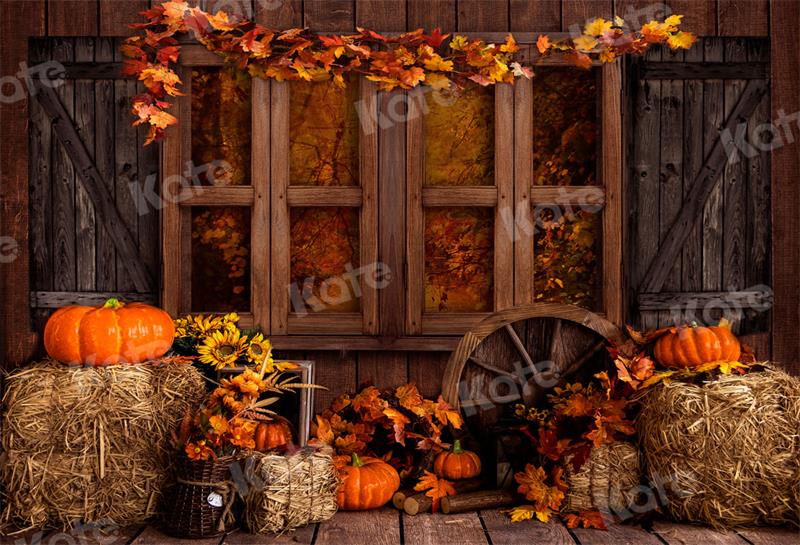 Kate Autumn Backdrop Barn Farm Pumpkins for Photography - Kate Backdrop AU
