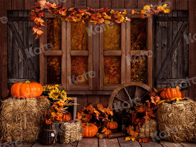 Kate Autumn Backdrop Barn Farm Pumpkins for Photography - Kate Backdrop AU