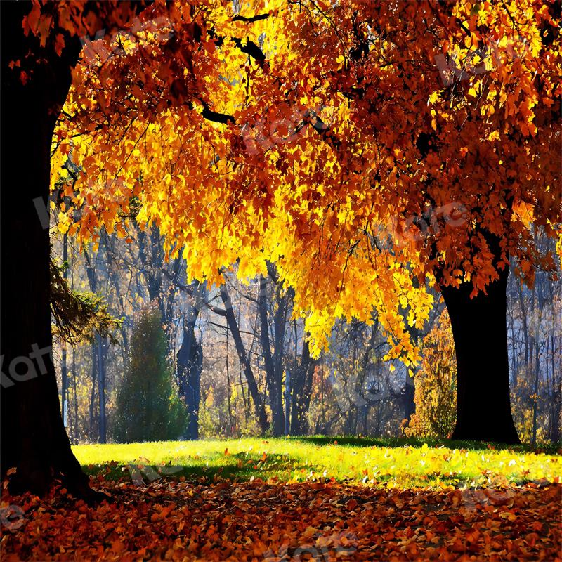 Kate Autumn Backdrop Nature Scenery for Photography - Kate Backdrop AU