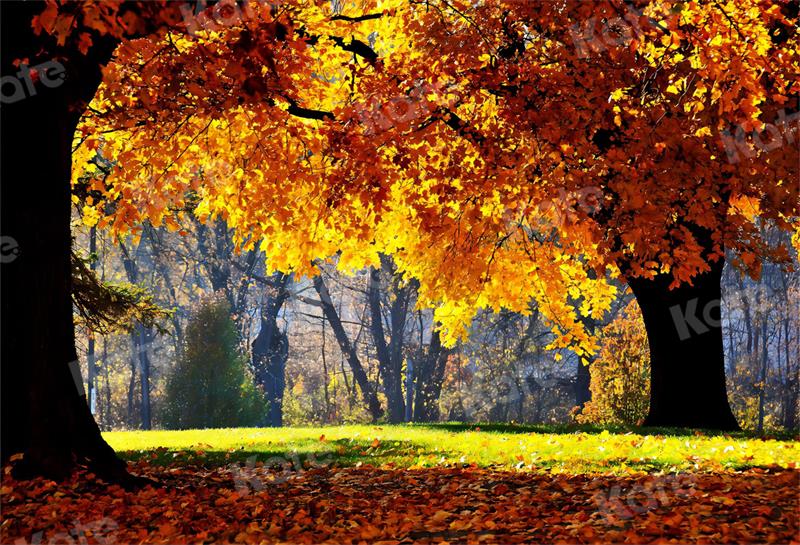 Kate Autumn Backdrop Nature Scenery for Photography - Kate Backdrop AU