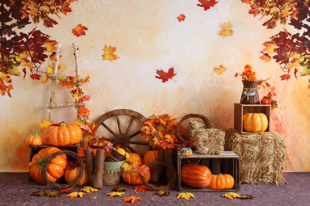Kate Autumn Backdrop Pumpkins Maple Leaves Farm Ladder for Photography - Kate Backdrop AU