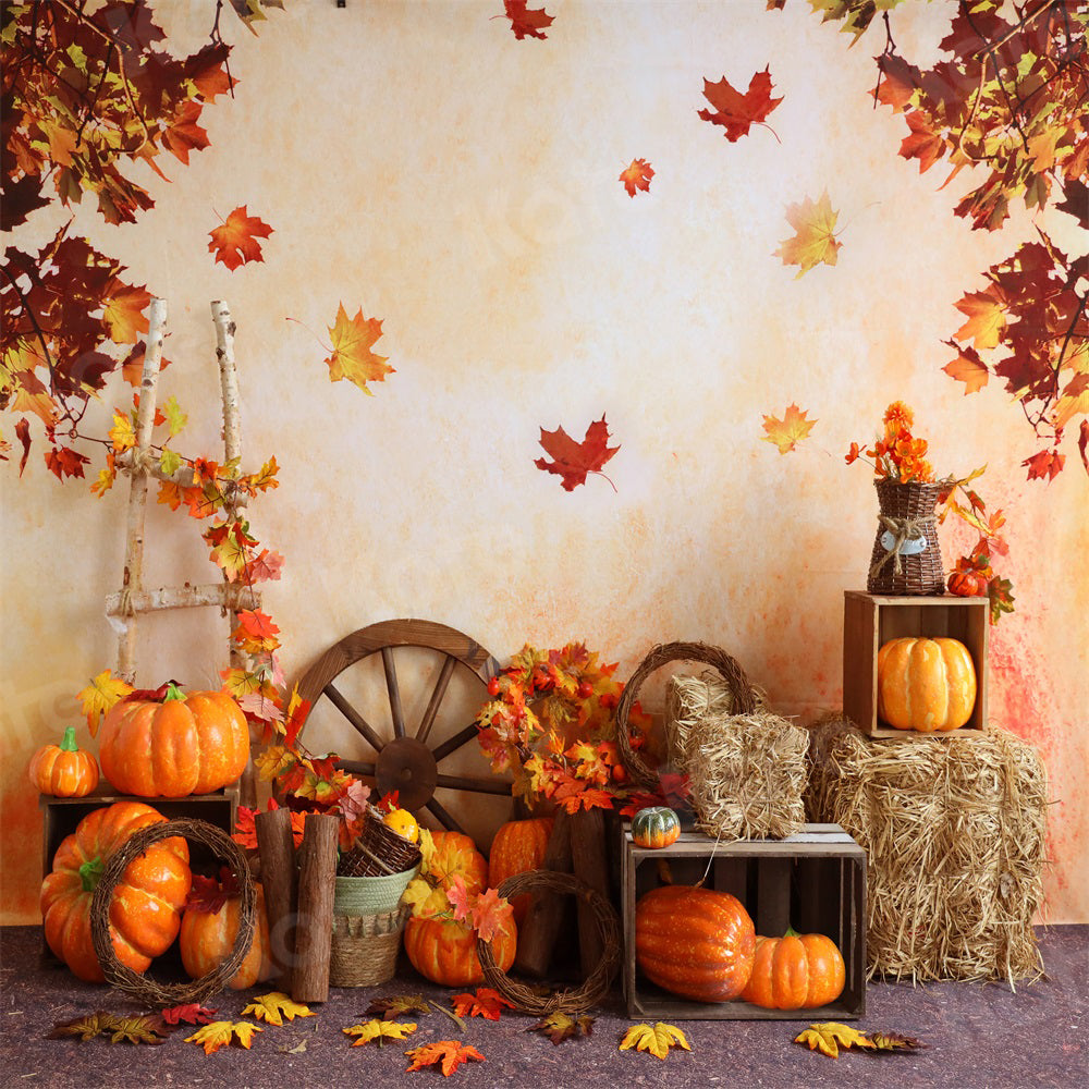 Kate Autumn Backdrop Pumpkins Maple Leaves Farm Ladder for Photography - Kate Backdrop AU