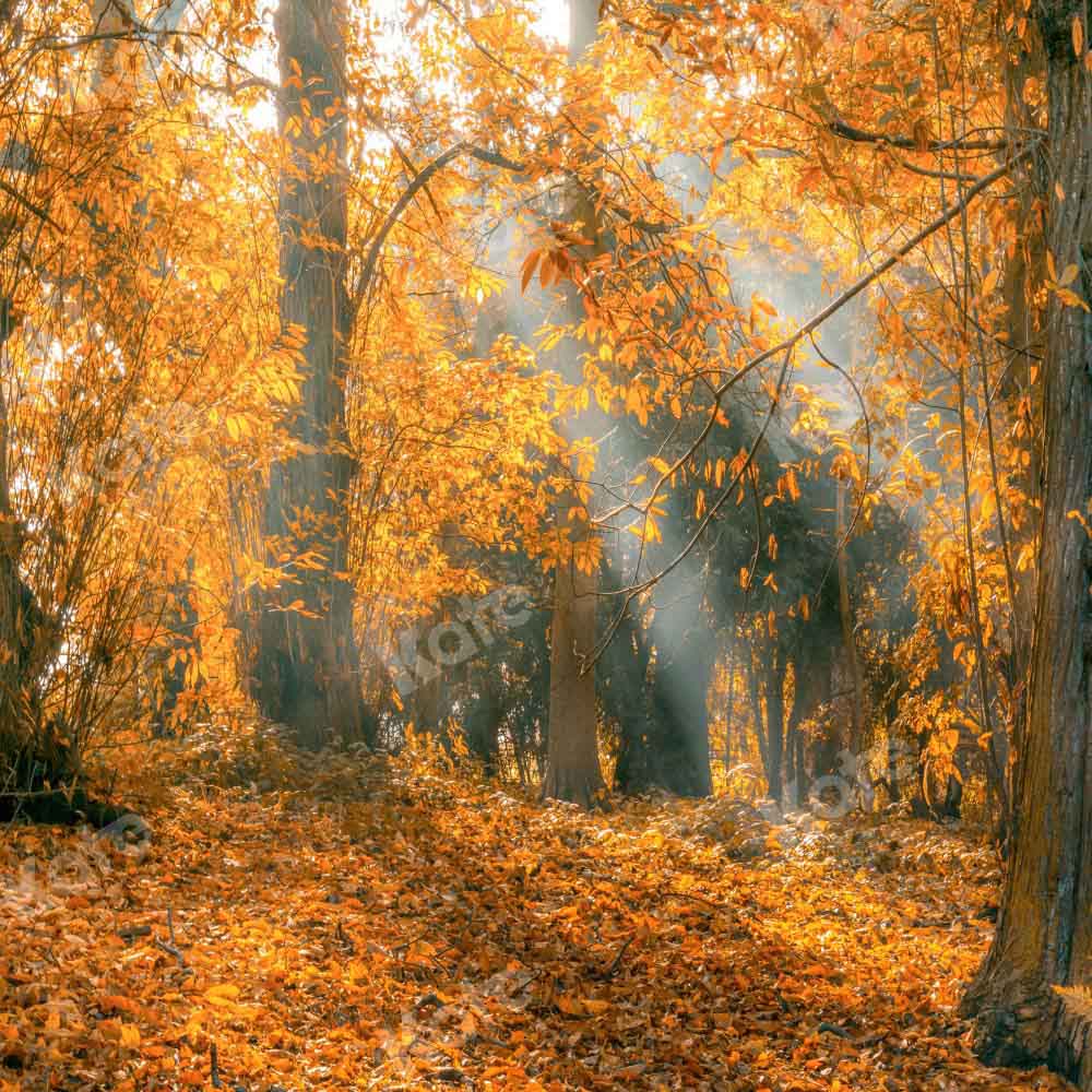 Kate Autumn Deciduous Forest Backdrop Outdoor Designed by Chain Photography - Kate Backdrop AU