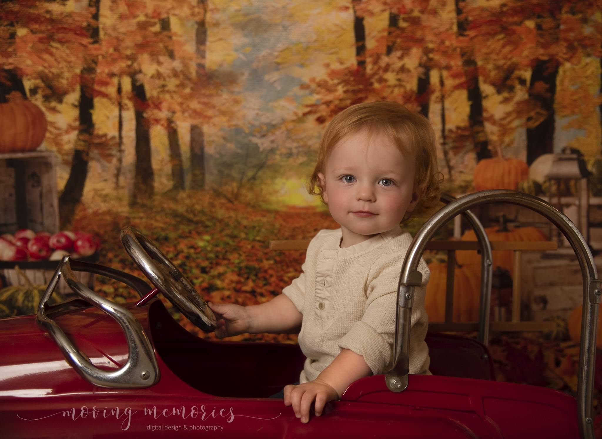Kate Autumn Leaf Thanksgiving with Pumpkins Backdrop Designed By Jerry_Sina - Kate Backdrop AU