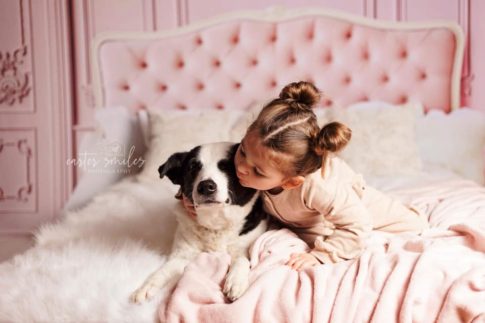 Kate Boudoir Pink Headboard Pink Wall Backdrop Designed by Chain Photography - Kate Backdrop AU