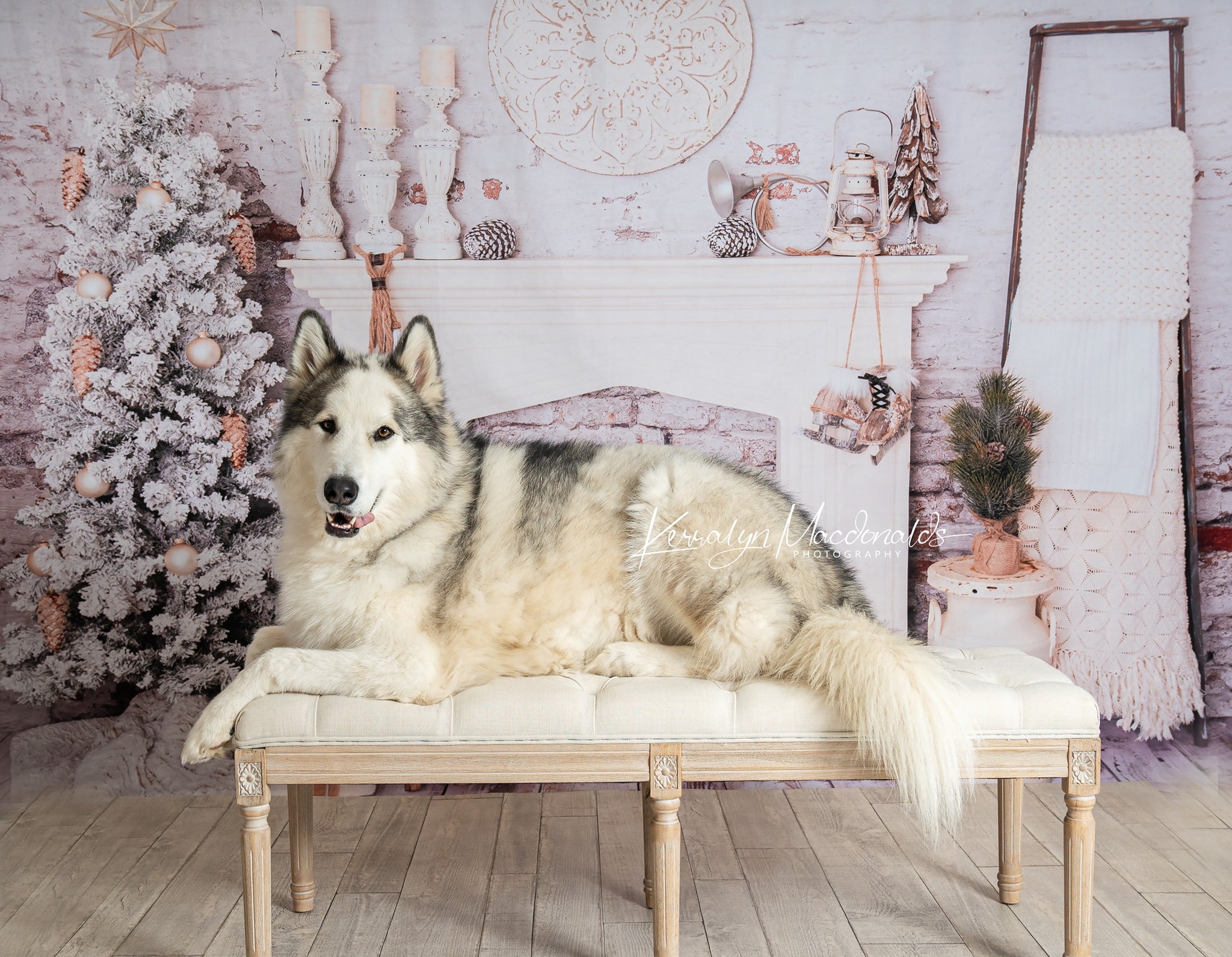 Kate Christmas Decorations Brick Room Backdrop Designed By Pine Park Collection - Kate Backdrop AU