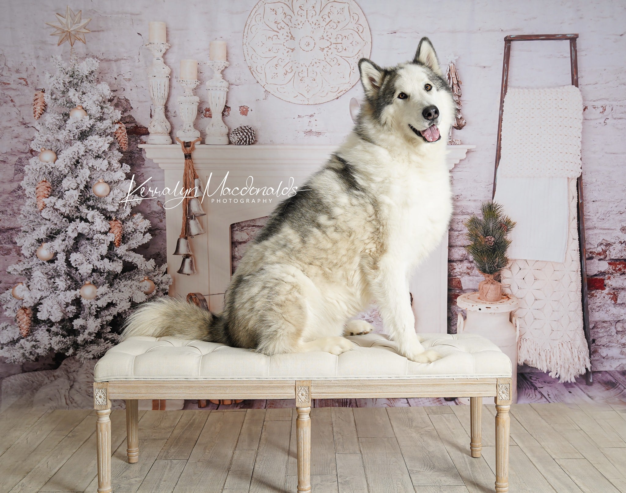 Kate Christmas Decorations Brick Room Backdrop Designed By Pine Park Collection - Kate Backdrop AU