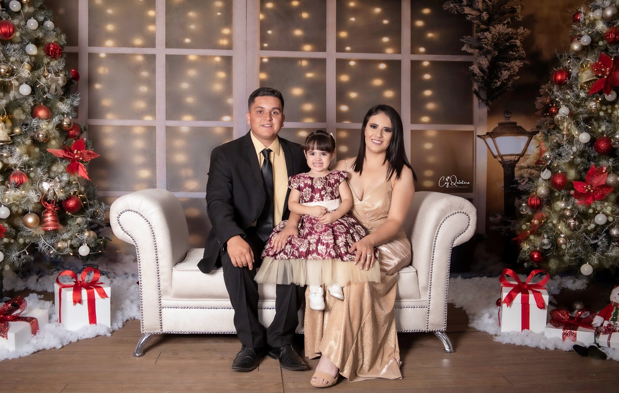 Kate Bright Christmas Decoration Flowers Backdrop - Kate Backdrop AU