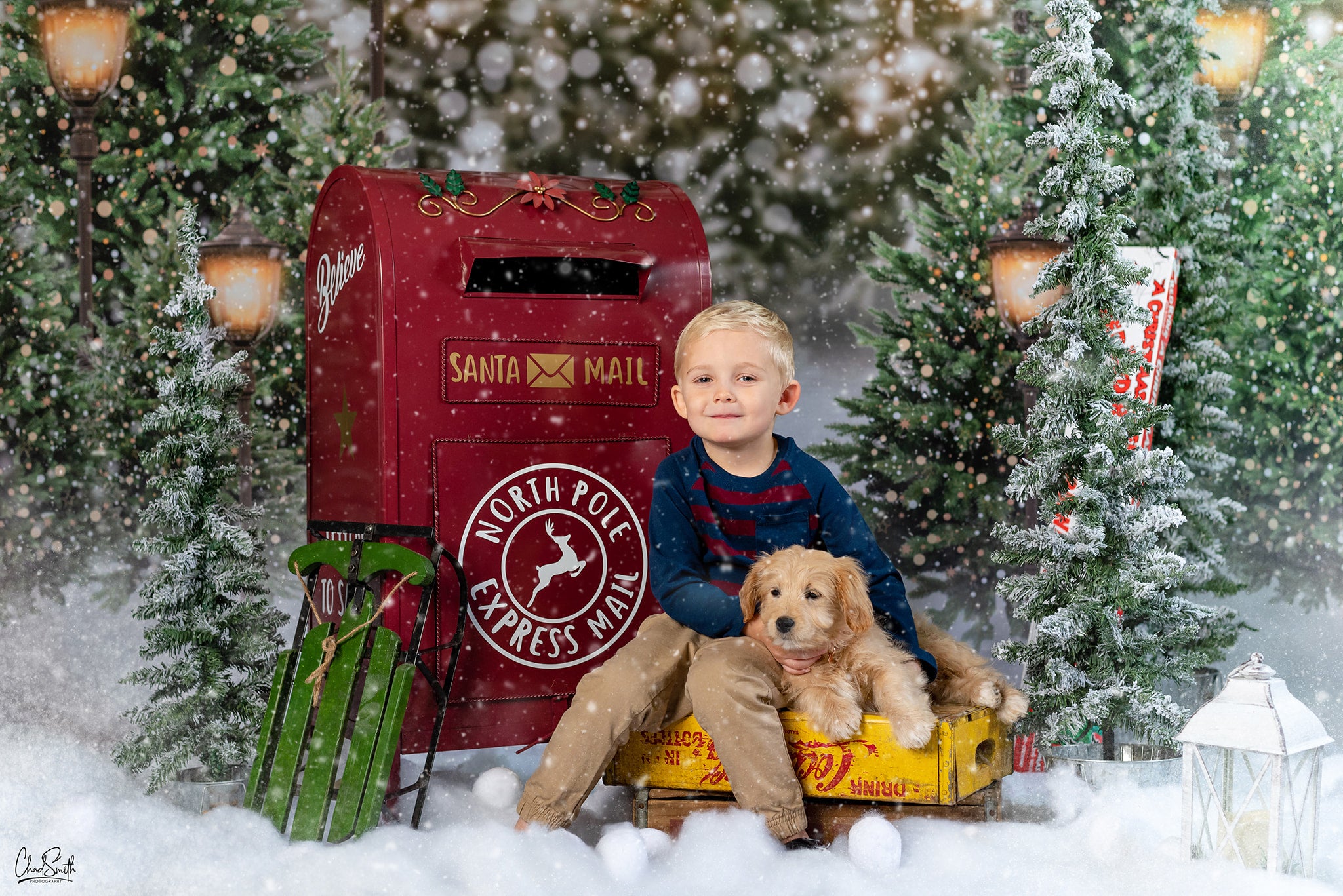 Kate Christmas Snow Forest Lights Backdrop for Photography - Kate Backdrop AU